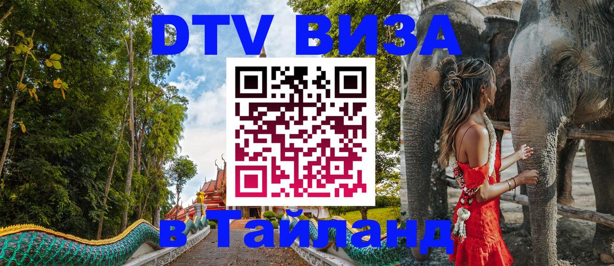 Сколько стоит DTV виза — актуальные цены, оформление даже без документов - 05.10.2025 